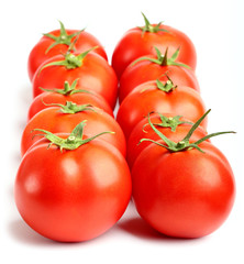 rows of red tomatoes