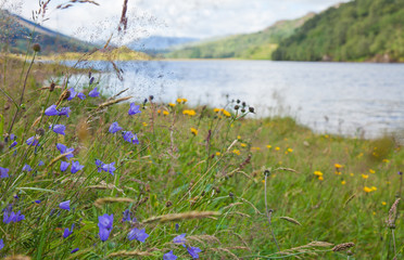 Obraz na płótnie Canvas scottish letni krajobraz z jeziora