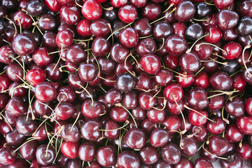 red cherry natural background.