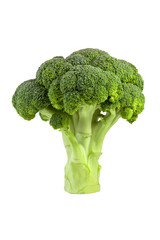 broccoli vegetable isolated on white background