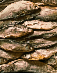 dry fish