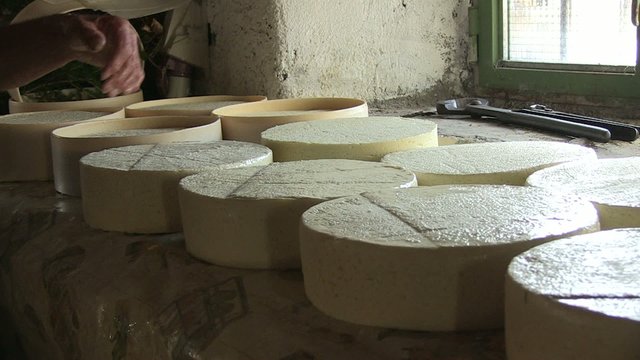 Formagelle