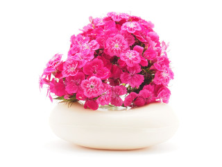Carnation and soap on a white background