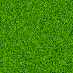 Fototapeta premium Bezszwowe zielone pole trawy