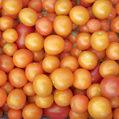 orange cherry tomatoes, colorful background