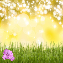 Obraz premium Natural background with grass and flowers