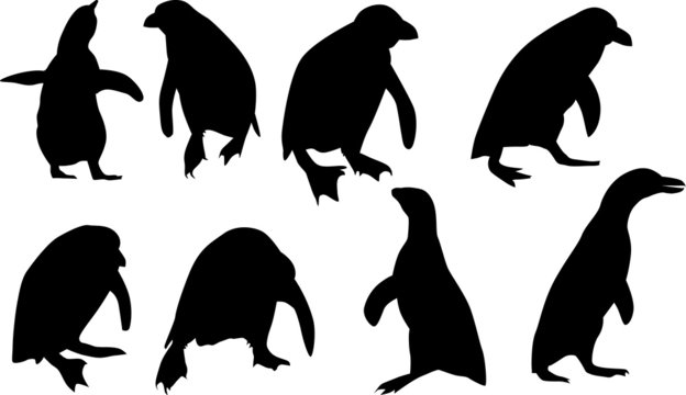 eight penguin silhouettes isolated on white