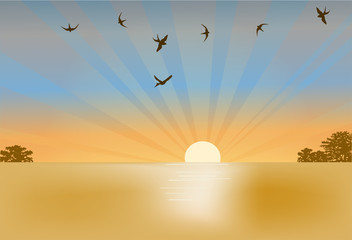 hirondelles et illustration du coucher du soleil