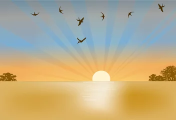 Poster zwaluwen en zonsondergang illustratie © Alexander Potapov