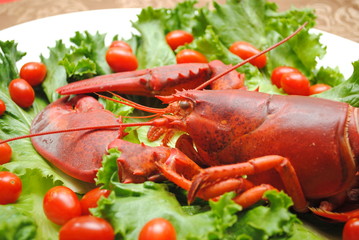 Summery Lobster