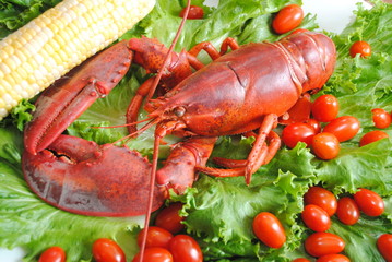 Corn on the Cob with Lobster on a Lettuce and Tomatoes