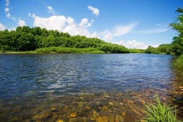 Photo sur Plexiglas Été river summer landscape