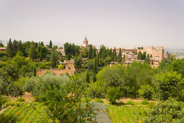 Fototapeta na wymiar Widok na Alhambrę
