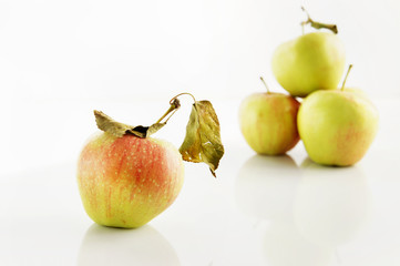 Fresh delicious apples