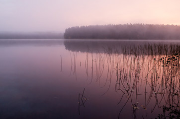 Fototapeta na wymiar Mglisty, drewno jezioro jesienią, w spokojnej rano