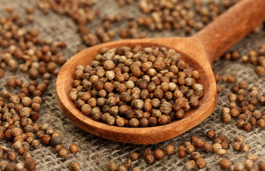 Heap coriander seeds in wooden spoon