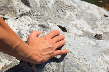 Female hand on rock