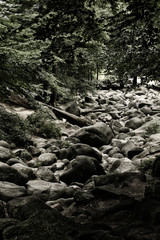 Felsenmeer in Lautertal im Odenwald