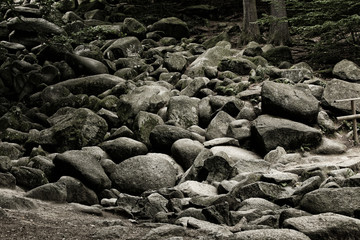 Felsenmeer in Lautertal im Odenwald