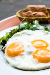 Prepared Egg