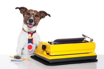 Stickers pour porte Chien fou business dog typewriter