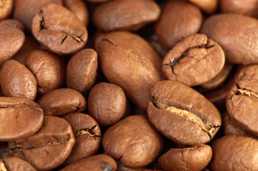 fress coffee beans