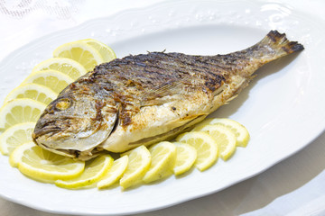 Grilled sea bream with lemon slices