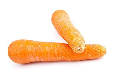 Carrot