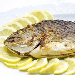 Grilled sea bream with lemon slices