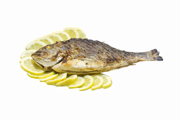 Grilled sea bream with lemon slices