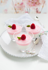 Raspberry yogurt dessert