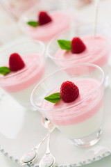 Raspberry yogurt dessert
