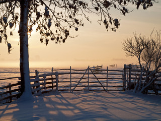 Fototapeta na wymiar Winter landscape in pasture at sunset, Kinderdijk Netherlands
