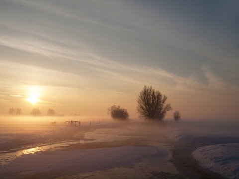 Winter landscape in pasture at sunset, Kinderdijk Netherlands