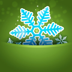 Christmas snowflake applique on bright background