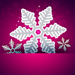 Christmas snowflake applique on bright background