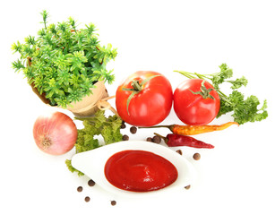 Still life tomatoes ketchup and herbs isolated on white