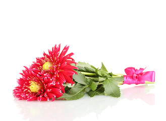 bouquet of red dahlias isolated on white