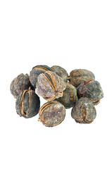 jatropha seed  on a white background