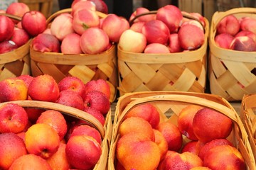 Baskets of apples