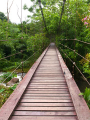 Wooden rope walkway through in a rainforest