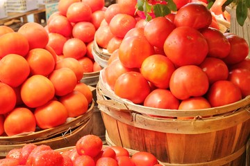 Red, ripe tomatoes