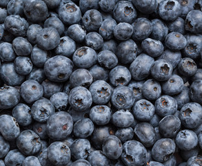 Blueberry background
