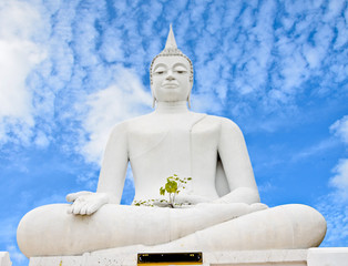 White buddha statue on blue sky