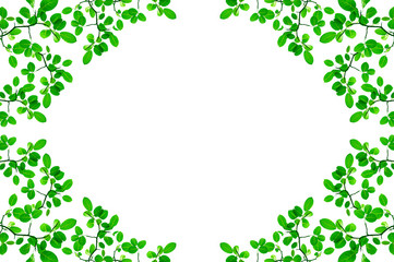 Green leafs - border design