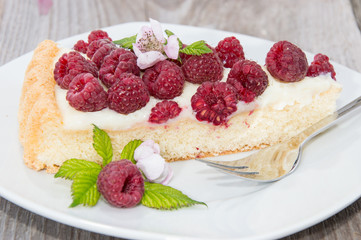 Piece of Raspberry Cake