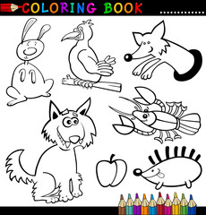 Animals for Coloring Book or Page