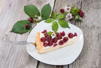 Raspberry Tart on a plate