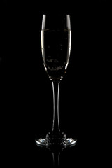 Champaigne flute