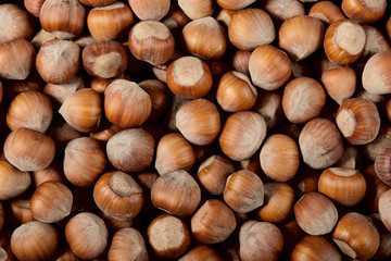 Hazelnuts background